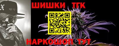 jwh Моздок