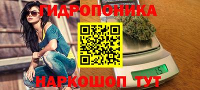 2c-b Можга