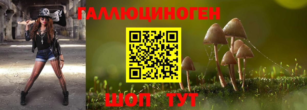 Псилоцибиновые грибы Magic Shrooms Тверь
